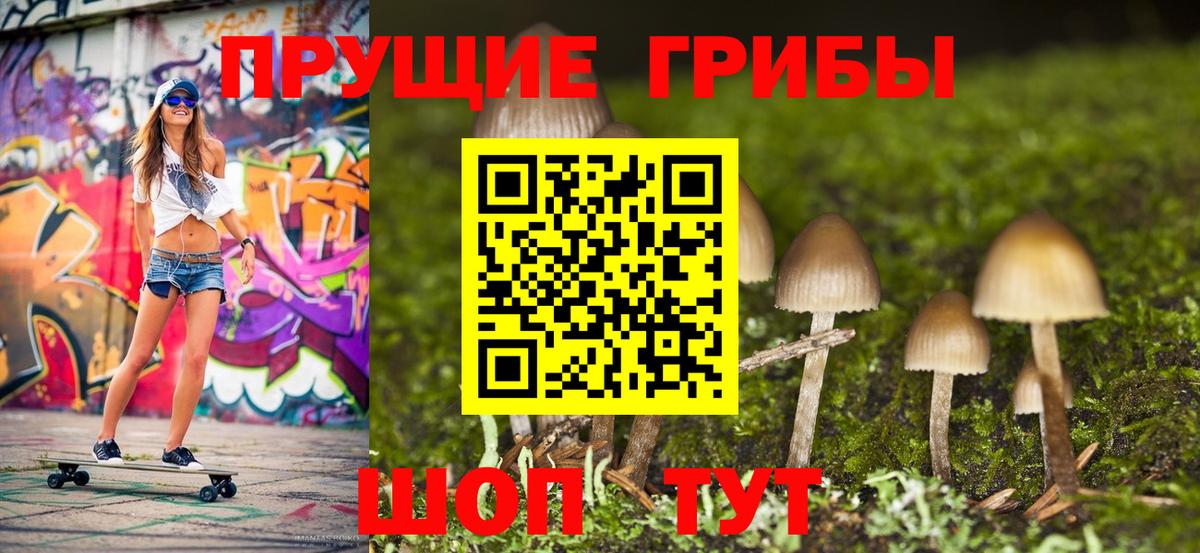 Знаменск  Псилоцибиновые грибы Psilocybe  Вход с VPN 